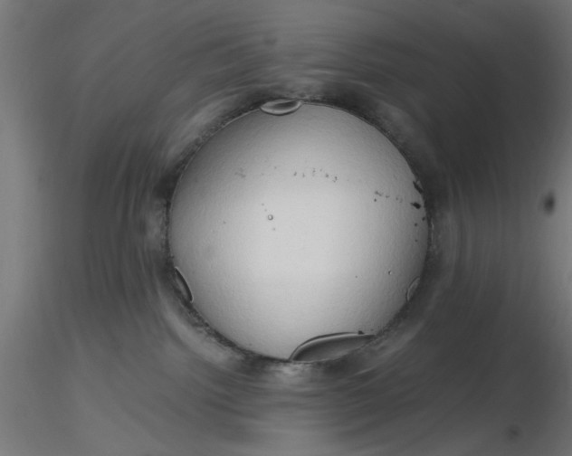 X0000116680092200912291728