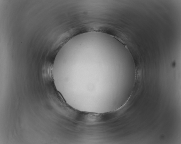 X0000116680094200912291728