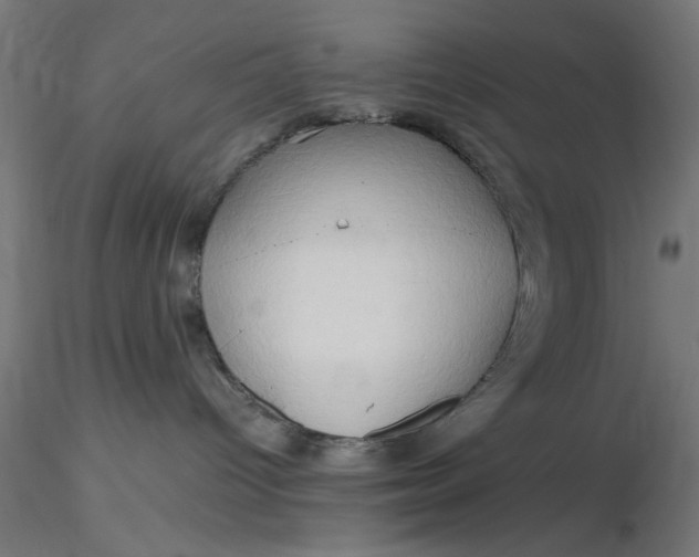 X0000116680096200912291728