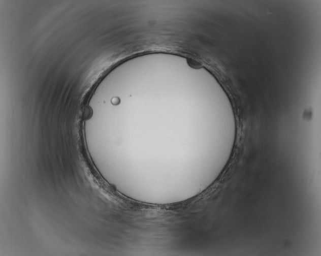 X0000116680098200912291728