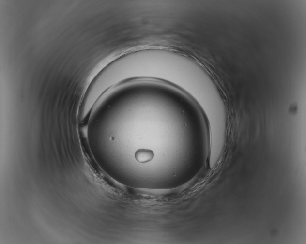 X0000116680100200912291728