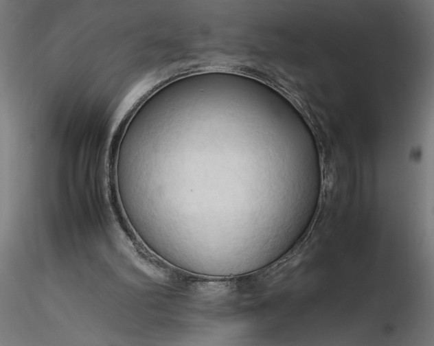 X0000116680102200912291728