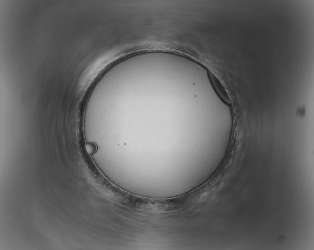 X0000116680103200912291728