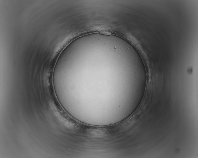 X0000116680106200912291728