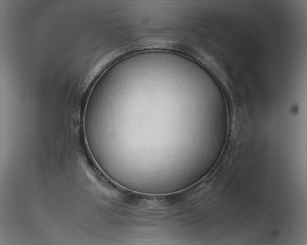 X0000116680107200912291728