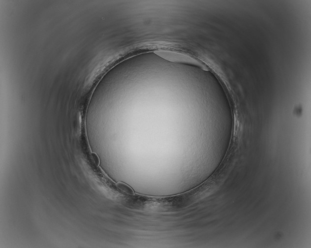 X0000116680109200912291727