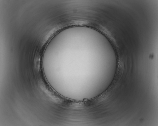 X0000116680110200912291727