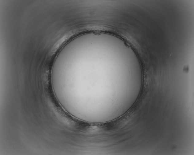 X0000116680111200912291727