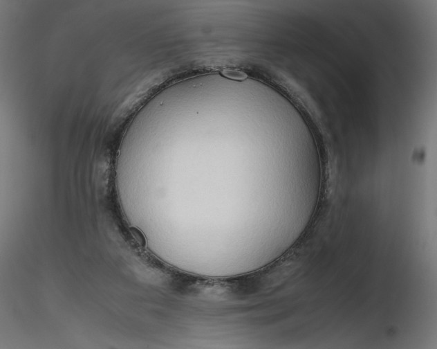 X0000116680113200912291727