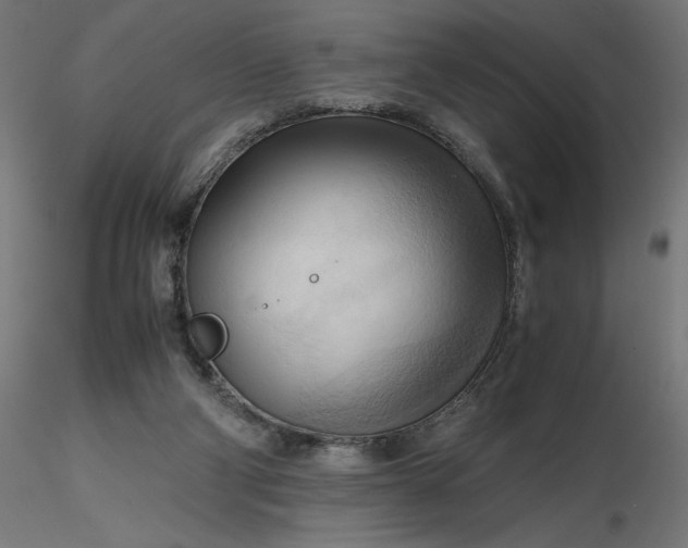 X0000116680114200912291727