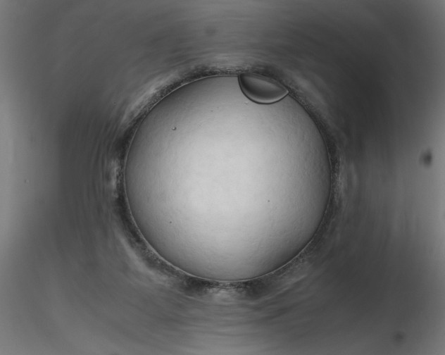 X0000116680115200912291727