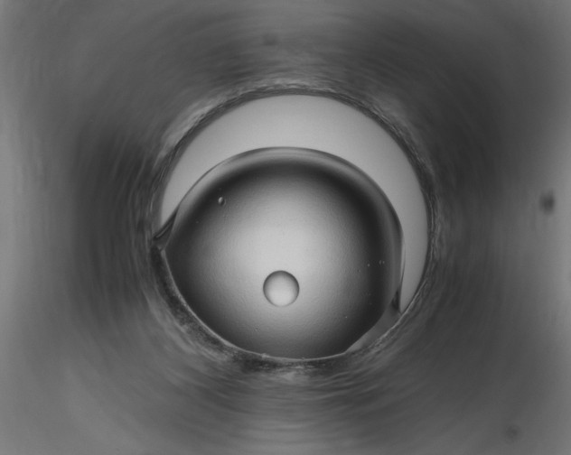 X0000116680116200912291727