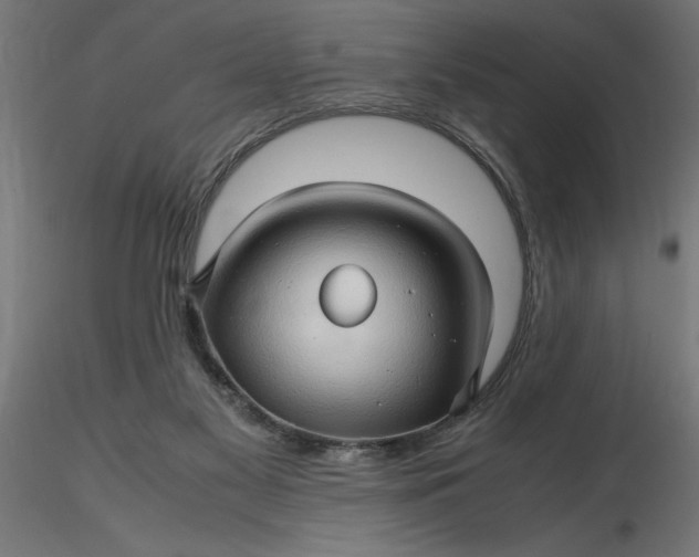 X0000116680117200912291727