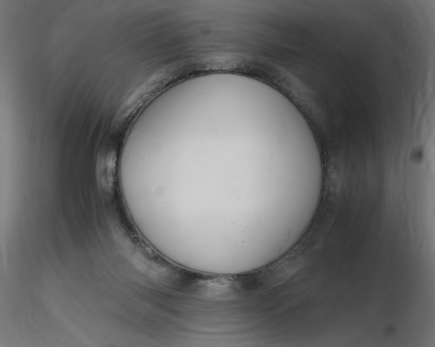 X0000116680118200912291727