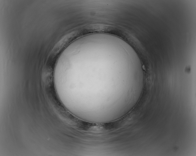 X0000116680119200912291727