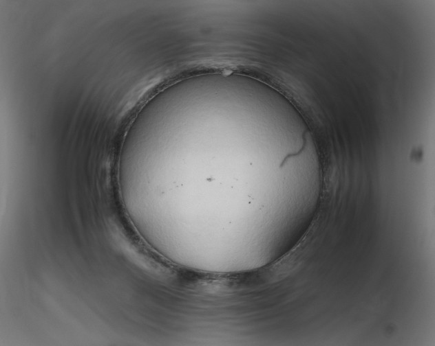 X0000116680120200912291727