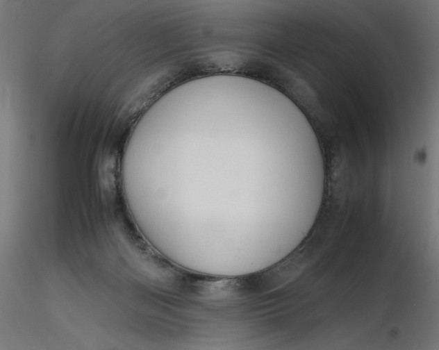 X0000116680122200912291727