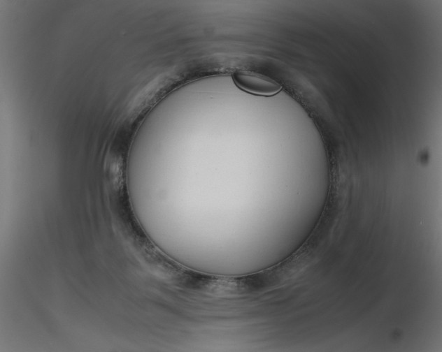 X0000116680123200912291727