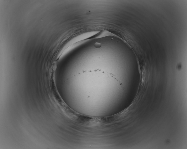 X0000116680124200912291727