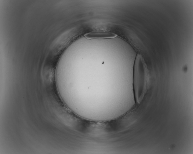 X0000116680125200912291727