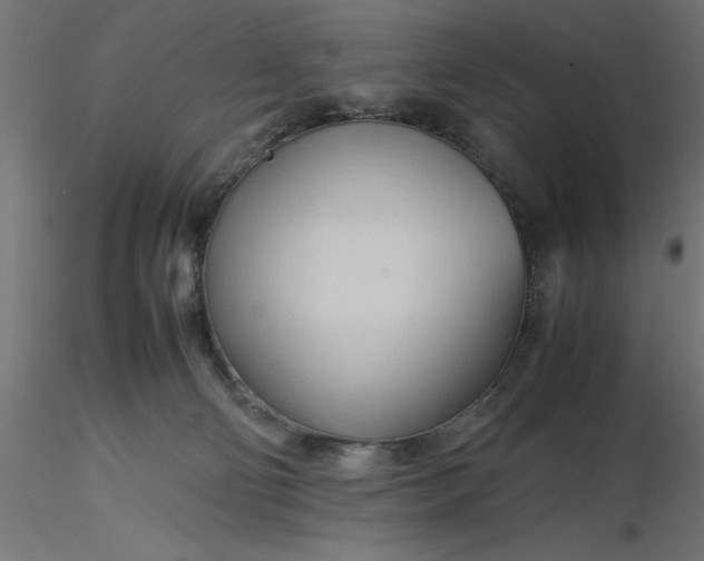 X0000116680130200912291727