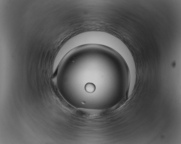 X0000116680132200912291727