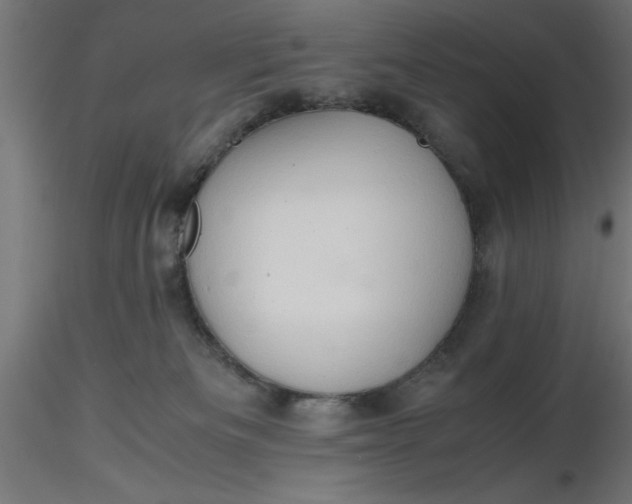 X0000116680133200912291727