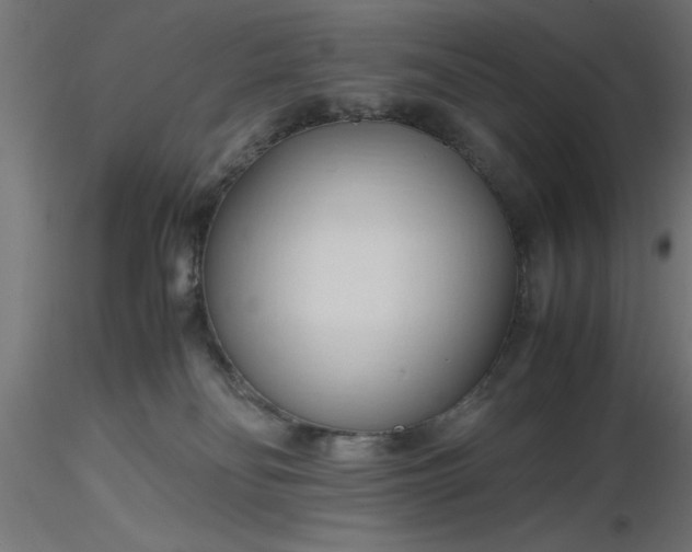 X0000116680134200912291727