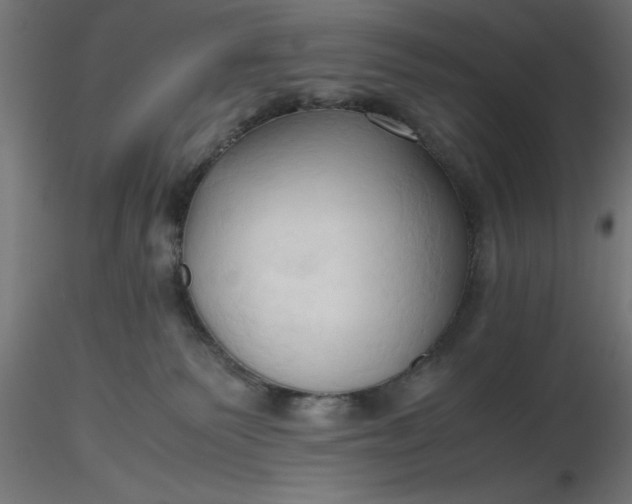 X0000116680135200912291727