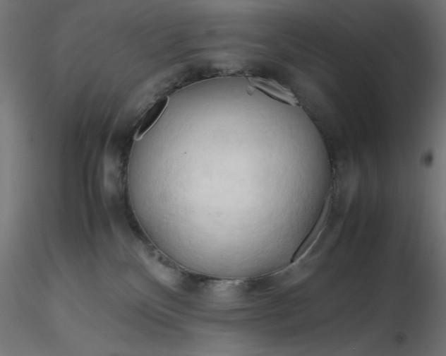 X0000116680136200912291727