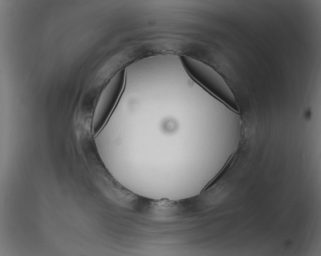 X0000116680141200912291727