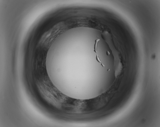 X0000116680143200912291727