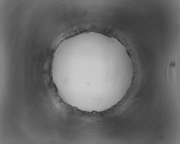 X0000116680144200912291727