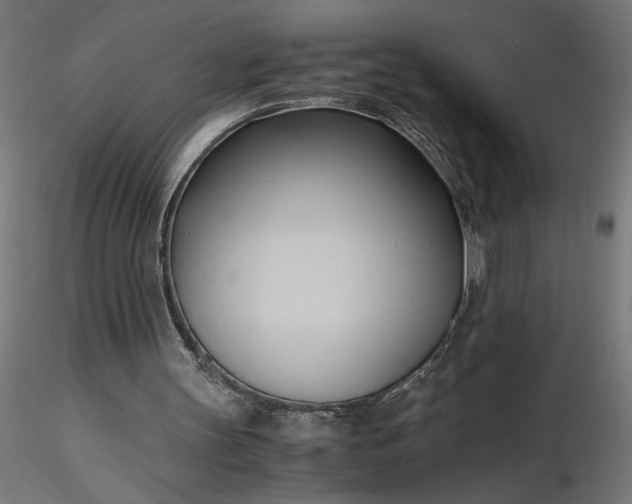 X0000116680147200912291726