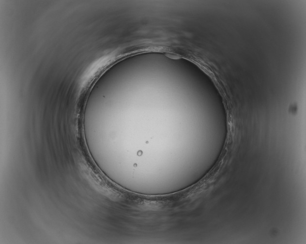 X0000116680149200912291726