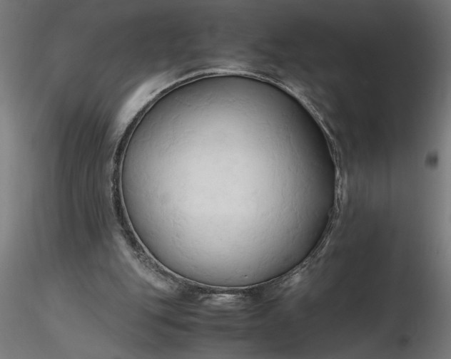 X0000116680151200912291726