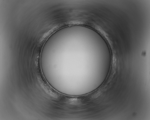 X0000116680153200912291726