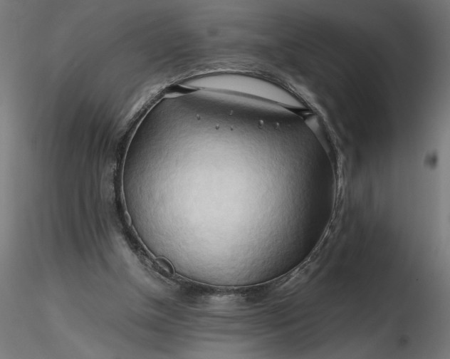 X0000116680154200912291726