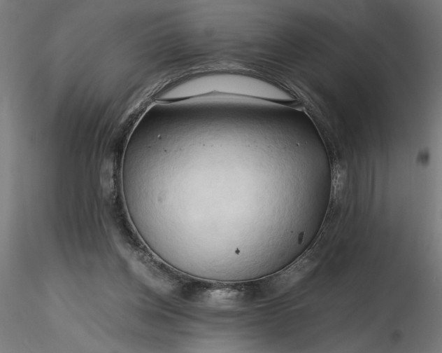 X0000116680158200912291727