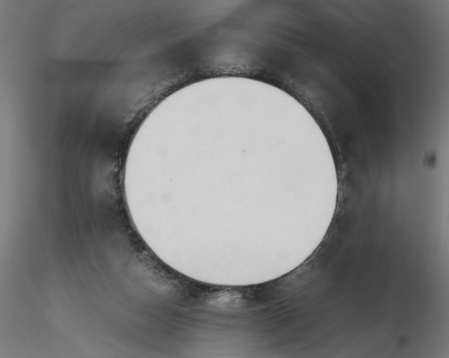 X0000116680162200912291727