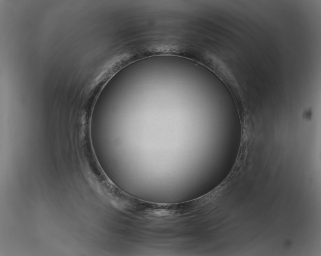 X0000116680163200912291727