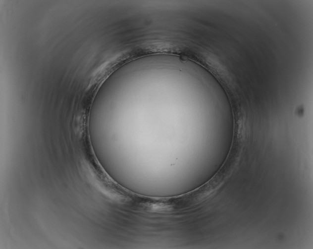 X0000116680165200912291727