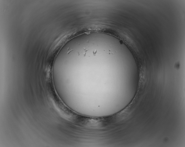 X0000116680166200912291727