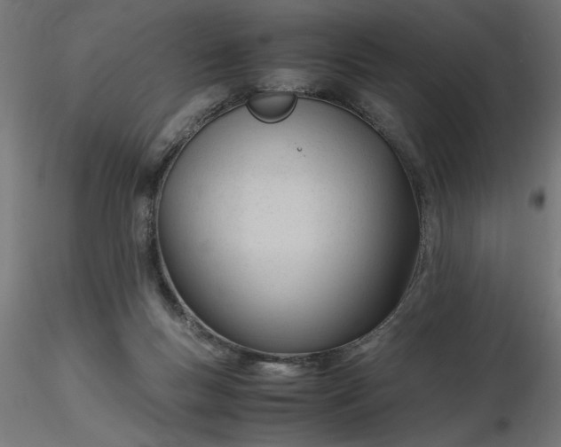 X0000116680167200912291727