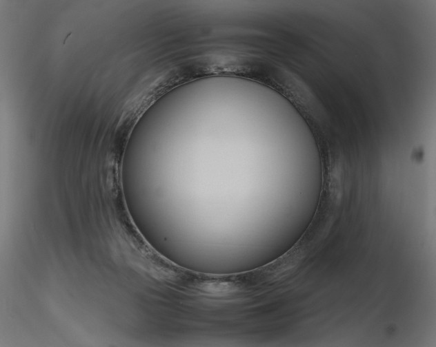 X0000116680169200912291727