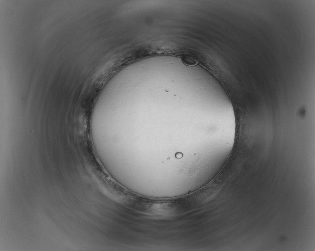 X0000116680173200912291727