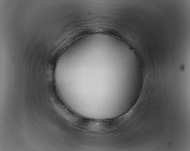 X0000116680174200912291727