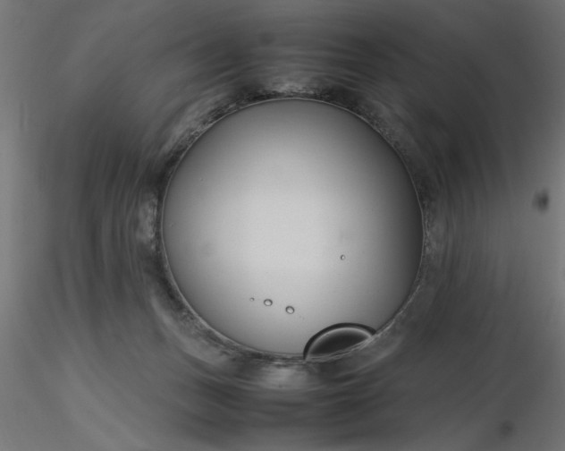 X0000116680175200912291727