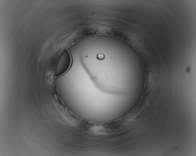 X0000116680177200912291727