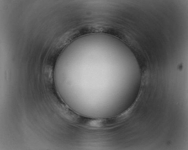 X0000116680178200912291727